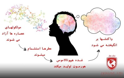 پربازخوردترین عطرها - دنیای عطر